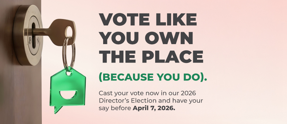 Voting for Board of Directors candidates is now open